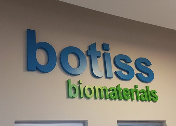 אותיות בולטות botiss